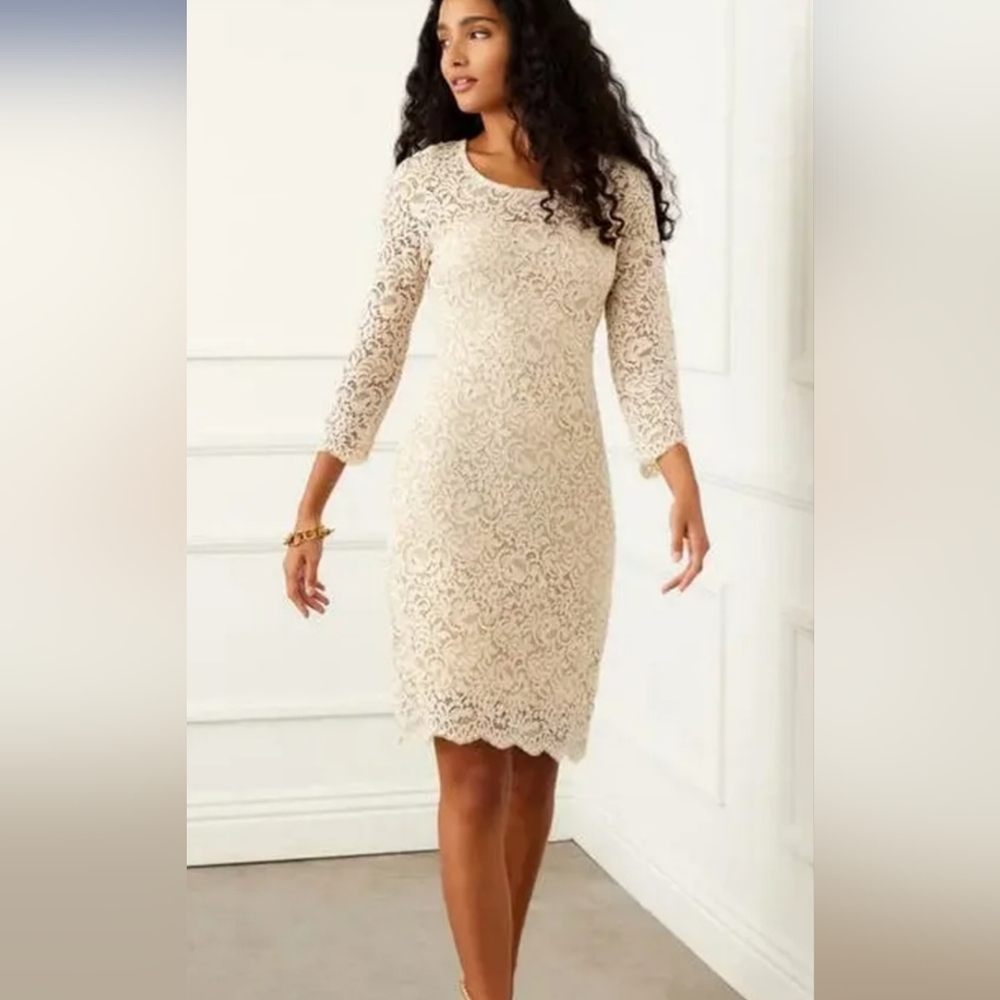 Karen Kane Gorgeous Beige Lace Long Sleeve Dress